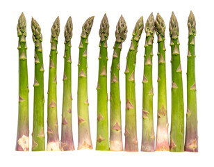 A row of fresh green asparagus spears standing upright on a white background.
