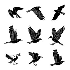 Elegant bird silhouettes soar in formation, perfect for nature designs, ornithology studies, or creating a peaceful, uplifting atmosphere for your projects