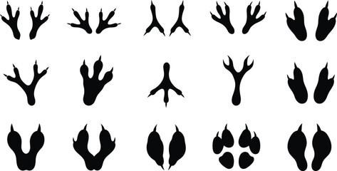 Collection of Black Animal Footprints and Bird Tracks on White Background animal tracks paw prints