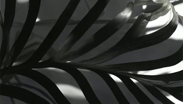 Black and white abstract leaf pattern