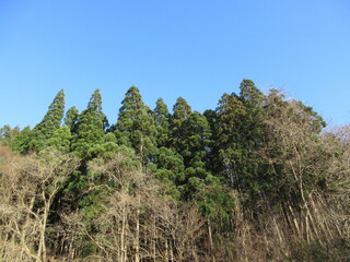 青空と初冬の里山