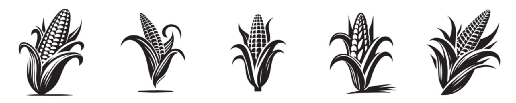 vector set of corn silhouettes