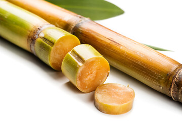 Sugar cane stalks and leaves, sugarcane sticks isolated on white background. Saccharum Officinarum...