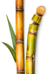 Sugar cane stalks and leaves, sugarcane sticks isolated on white background. Organic Saccharum Officinarum plant flat lay, vertical photo 