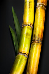Obraz premium Sugar cane stalks and leaves, sugarcane sticks isolated on black background. Saccharum Officinarum plant flat lay 