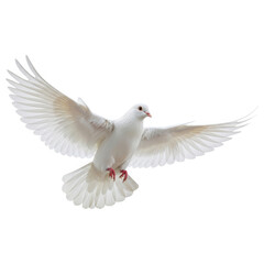Fototapeta premium Graceful white dove in flight with wings spread, pure symbolism