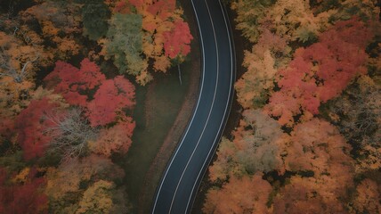 road in the mountains