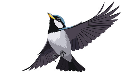 Fototapeta premium A small blue-headed bird with white cheeks and black markings takes flight against a clean white background, looking up with its yellow beak.