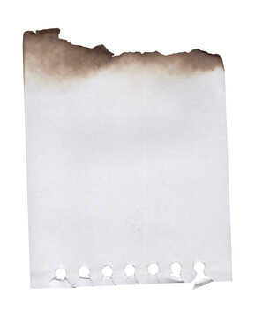 Transparent Stylish Cool Burned Paper Edge Texture