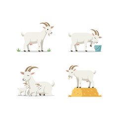 Adorable Goat in Nature: A Charming Farm Animal Portrait