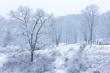 Obraz premium peaceful snowy mountain landscape in countryside