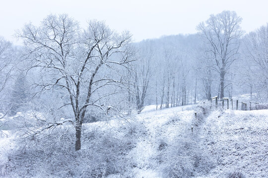 peaceful snowy mountain landscape in countryside