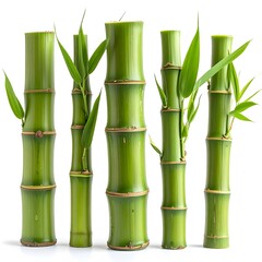 Obraz premium Tall bamboo sticks displayed in neat alignment high resolution picture