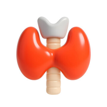 Stylized 3D rendering of the human thyroid gland, representing endocrinology, hormones, and metabolism.