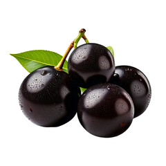 Fresh black plums with leaves and water droplets