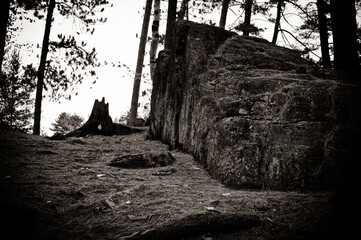 Black and white photograph of a large rock formation among trees in a forest, showing rough stone texture, natural shapes, and a quiet outdoor environment.