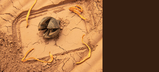 The patterns formed by clay, sand, and soil are embellished with wild fruit props. The layout is simple and has Middle Eastern and American Western styles, which are relatively simple. The design incl