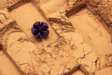 The patterns formed by clay, sand, and soil are embellished with wild fruit props. The layout is simple and has Middle Eastern and American Western styles, which are relatively simple. The design incl