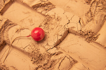 The patterns formed by clay, sand, and soil are embellished with wild fruit props. The layout is simple and has Middle Eastern and American Western styles, which are relatively simple. The design incl