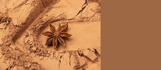 grunge background with spider web