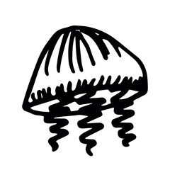 Hand drawn jellyfish doodle Sea animal illustration Cute marine underwater creature Medusa sketch clipart Single element for web, design, decor, children's print