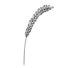 Fototapeta premium Hand drawn cereal wheat oat rye barley rice ears spikelet clipart Organic wheat bread agriculture farming harvest healthy food Single element for print packaging label design decor