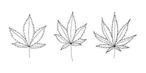 Obraz premium Set of hand drawn cannabis leaf Medicine marijuana Hemp leaves clipart in doodle style Single element for print, web, design, decor