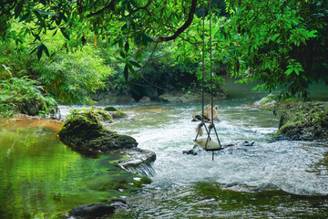 Wooden rope swing hanging over a tropical stream in a lush forest.