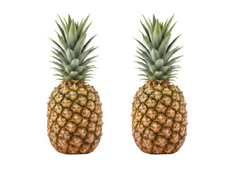 Fototapeta premium pineapple on white background