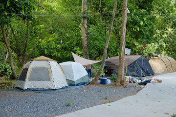 Multiple Tents and Gear Pitched in a Shaded Forest Campsite