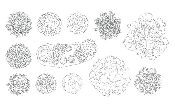 Hand-Drawn Collection of Top-View Tree and Shrub Symbols for Landscape Design
