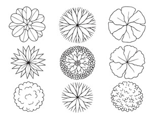 Set of 9 Diverse Hand Drawn Tree and Bush Top View Icons for Landscape Design and Architectural Plans
