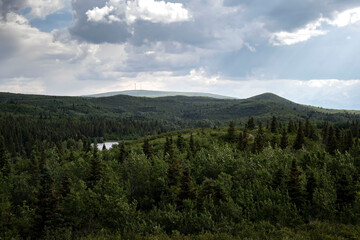 Overlooking hills and green trees in interior Alaska