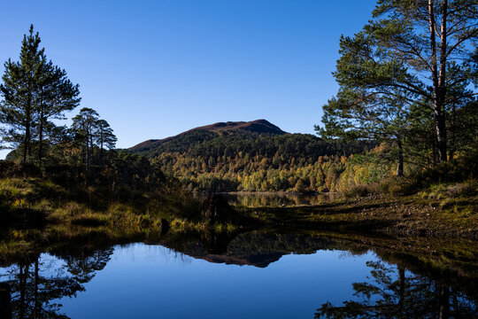 Gorgeous colorful fall landscape with Scottish Pine Forest and golden birch trees reflected in lake, Loch Beinn o Mheadhain, Glen Affric, Scotland, UK
