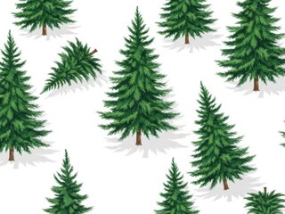 Fototapeta premium Seamless pattern of various green fir tree illustrations with shadows, isolated on white background for holiday design