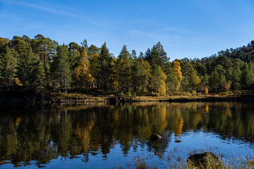 Gorgeous colorful fall landscape with Scottish Pine Forest and golden birch trees reflected in lake, Loch Beinn o Mheadhain, Glen Affric, Scotland, UK
