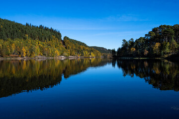 Gorgeous colorful fall landscape with Scottish Pine Forest and golden birch trees reflected in lake, Loch Beinn o Mheadhain, Glen Affric, Scotland, UK

