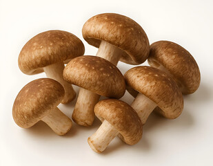Group of Fresh Brown Shiitake Mushrooms on White Background