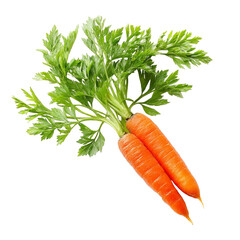 Whole Orange Carrot with Leaf Tops PNG Cut Out