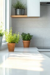 Fototapeta premium Bright kitchen counter with sunlight and green potted herbs next to window and modern white cabinets