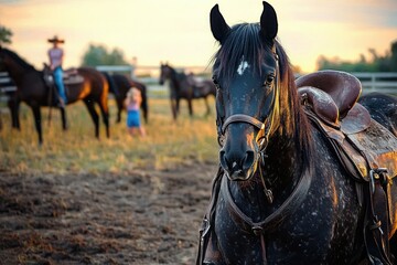 Obraz premium Close-up of a black horse with a saddle standing in a field at sunset with blurred background of horses and people