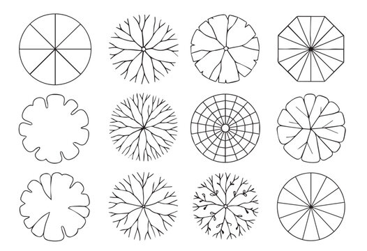 Diverse Architectural Tree and Canopy Plan View Vector Icons Set for CAD and Landscape Design