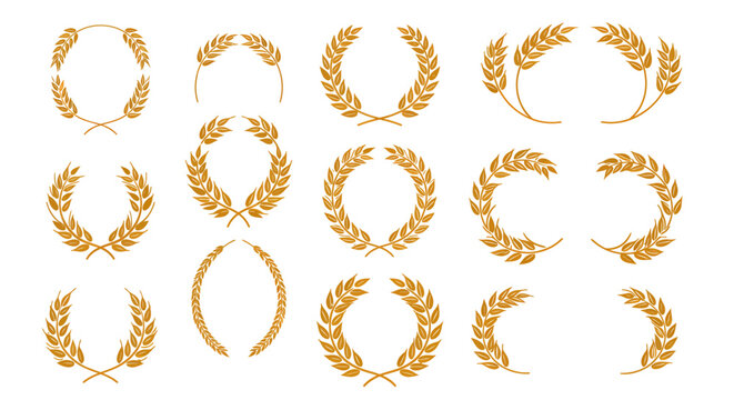 Collection of golden wheat wreaths and frames, symbolizing harvest, success, and agricultural abundance on a white background.