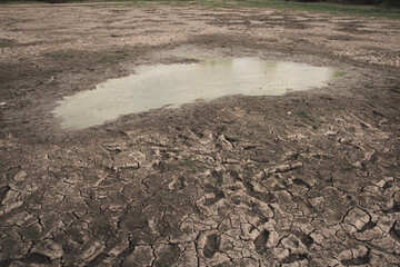 Cracked and lifeless soil dominates the background, silently telling the story of severe drought and environmental collapse.