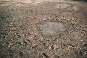 Severely dried earth spreads across the landscape, revealing the painful effects of drought on the natural world.