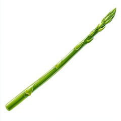 Fototapeta premium Single Fresh Green Asparagus Spear Isolated on White Studio Background Healthy Vegetable Food