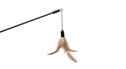 Vibrant feather wand cat toy with soft natural brown feathers, designed for interactive pet play and stimulating feline engagement, isolated on a pure white background