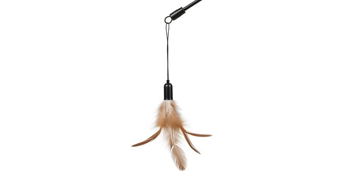 A close-up studio shot of a fluffy brown feather on a dangling string, attached to a small black cap, against a pure white background