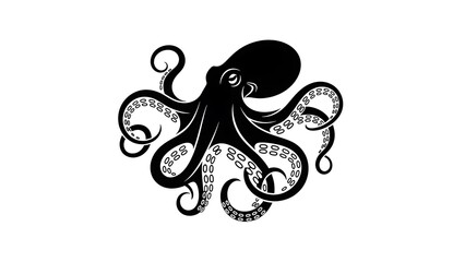 Stylized Black And White