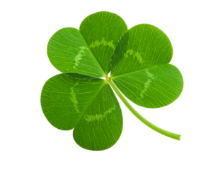 clover leaf isolated on transparent background